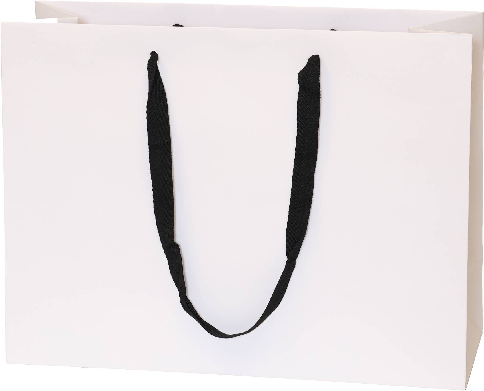 White Bag/Black Handles