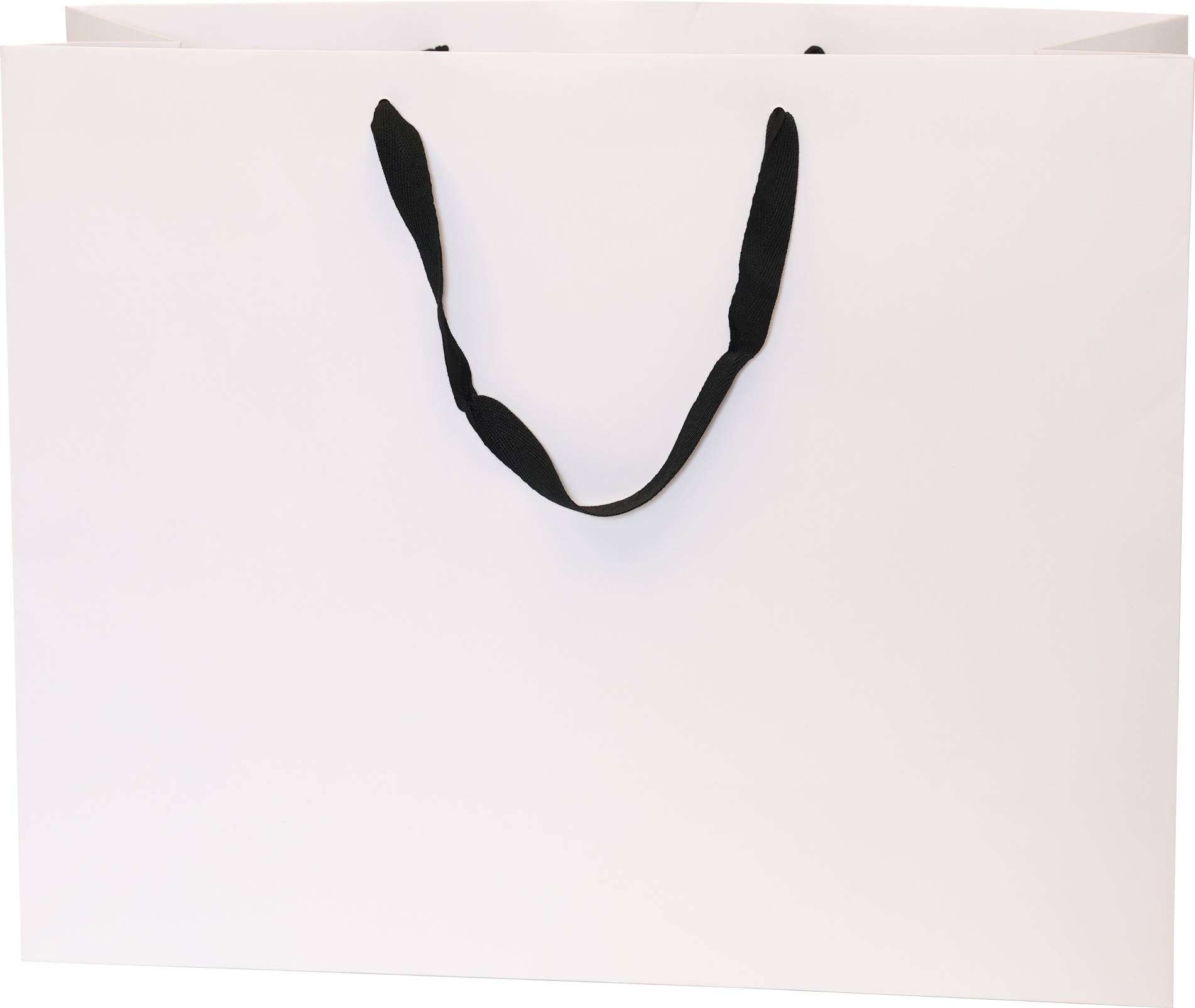White Bag/Black Handles