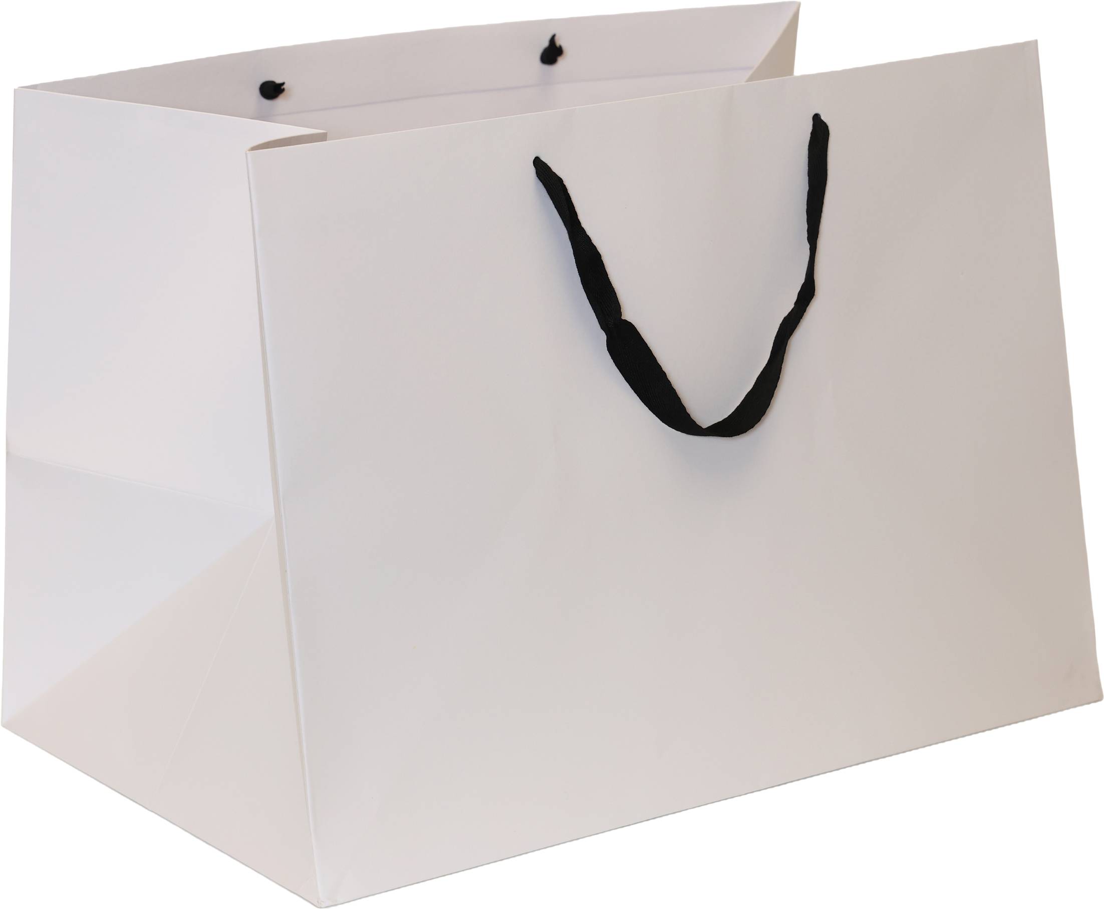 White Bag/Black Handles