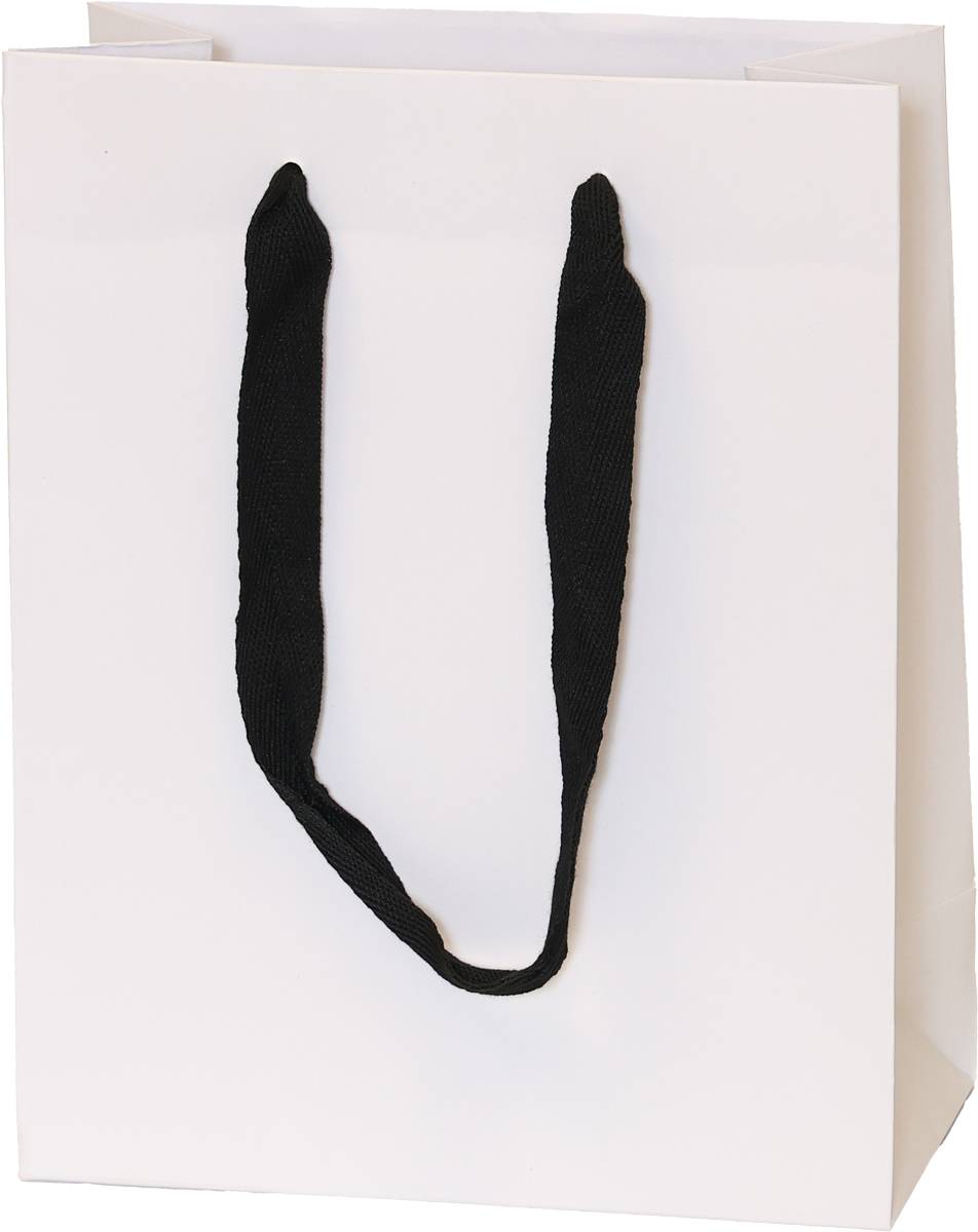 White Bag/Black Handles