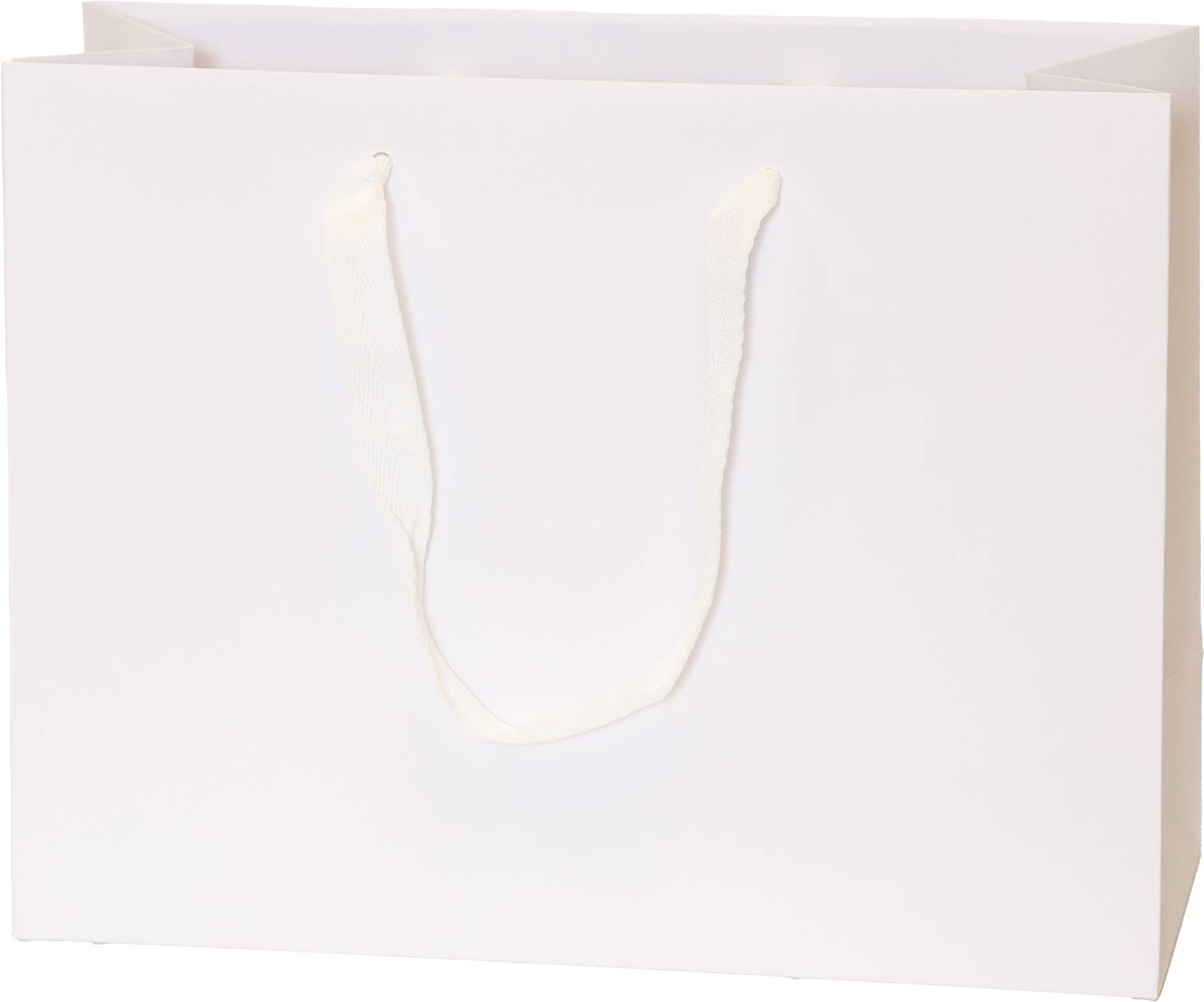 White Bag/White Handles