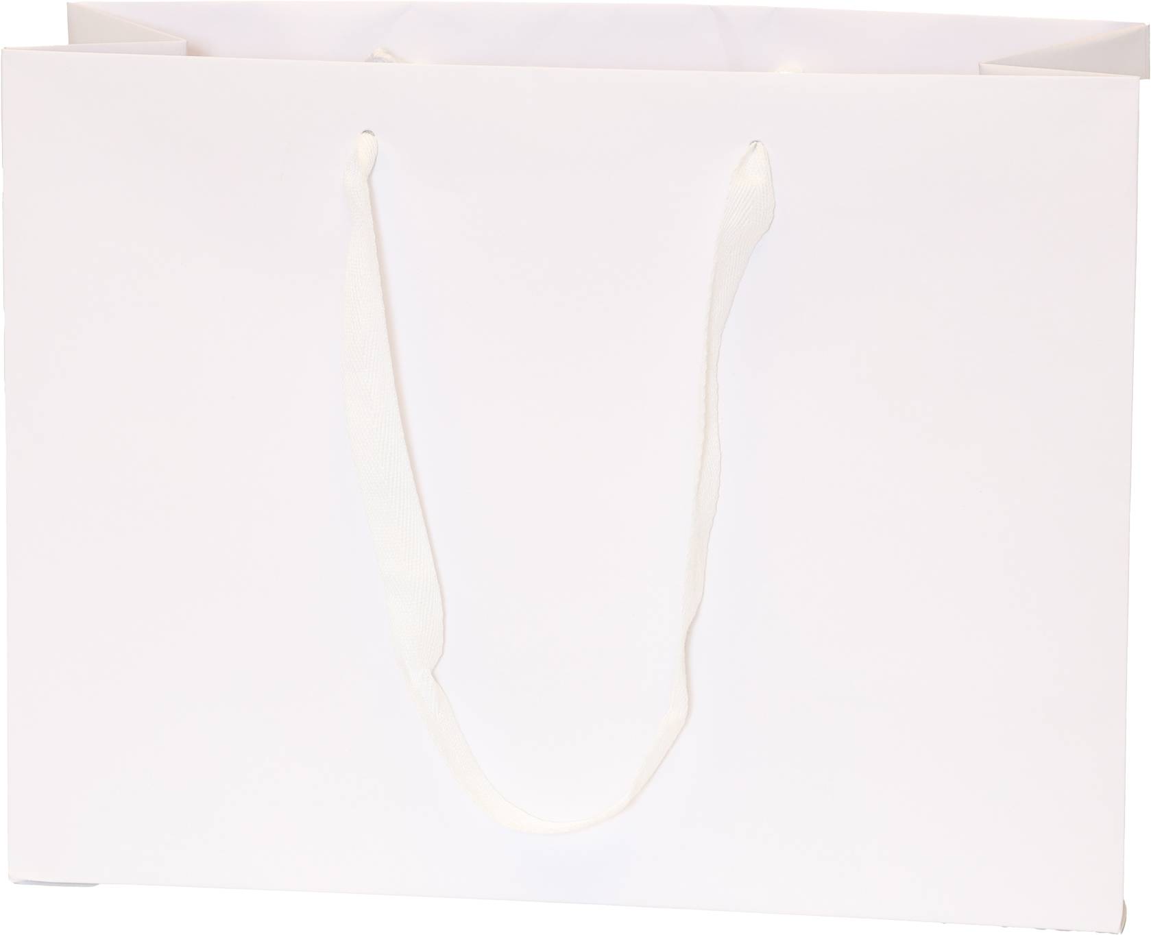 White Bag/White Handles