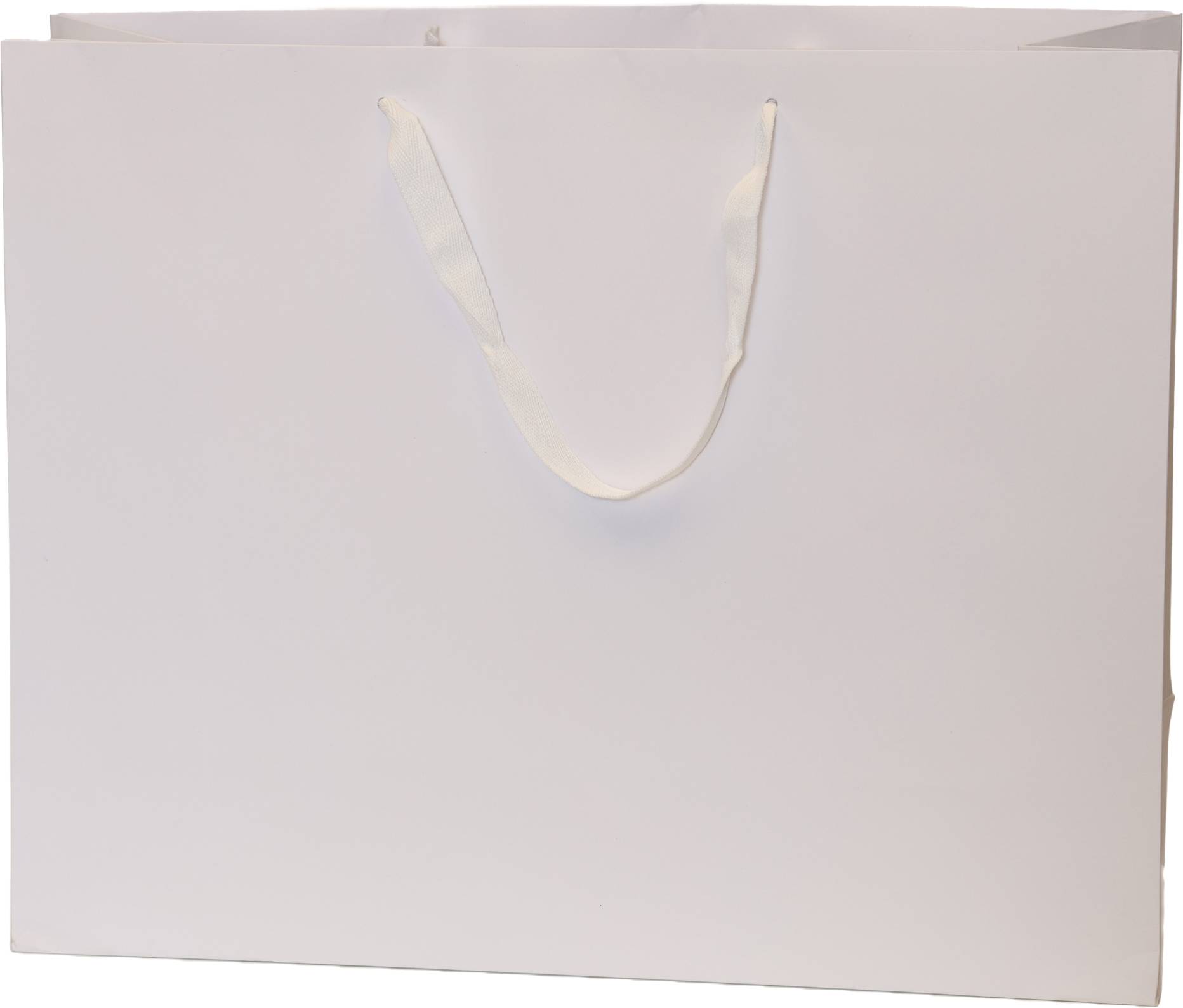 White Bag/White Handles
