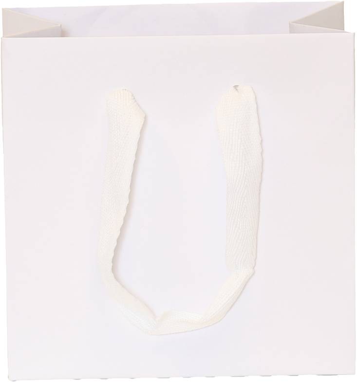 White Bag/White Handles