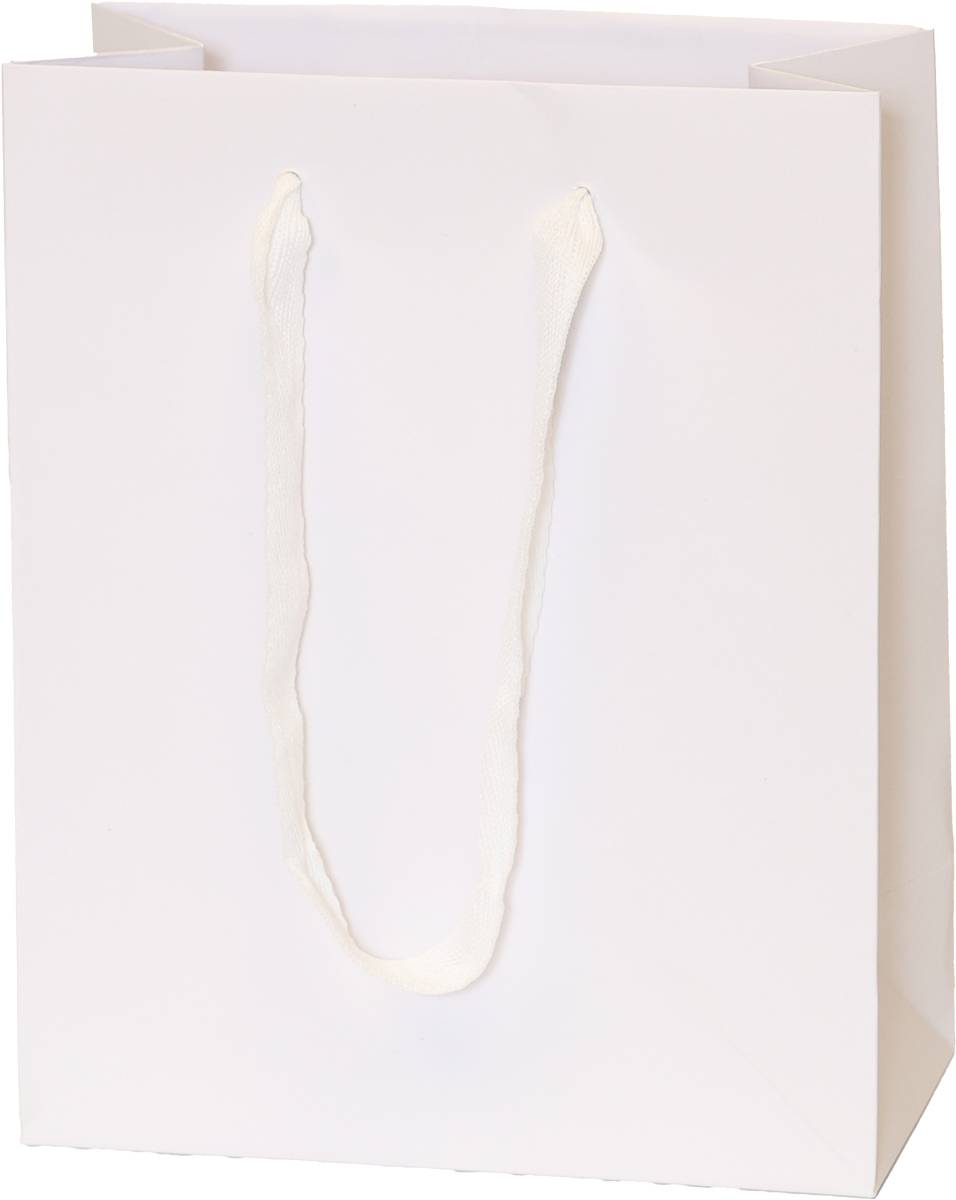 White Bag/White Handles