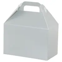 Metallic Silver large gable box — metallic silver finish, die-cut top carry handle