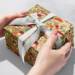 Mushroom Forest Gift Wrap Paper - B433