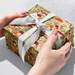 Mushroom Forest Gift Wrap Paper - B433