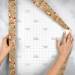 Mushroom Forest Gift Wrap Paper - B433
