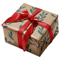 Nelina Gift Wrap Paper 