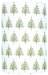 Noble Fir Gift Wrap Paper