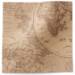 Olde World printed tissue paper with vintage antique world map design for gift wrapping