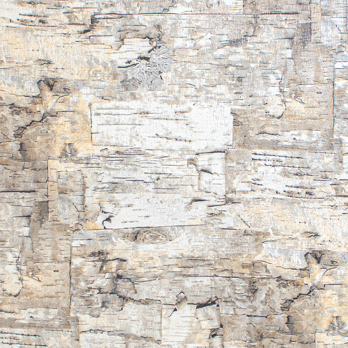 Paper Birch Gift Wrap Paper — classic paper birch pattern gift wrapping paper