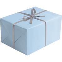 Pastel Blue Gift Wrap Paper