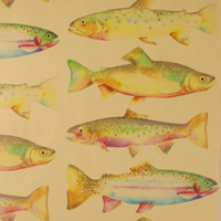Rainbow Trout Gift Wrap Paper