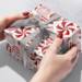 Red & White Ornaments Gift Wrap Paper - XB843