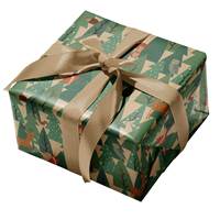 Richie Gift Wrap Paper (New) 