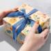 Safari Party Gift Wrap Paper - B240