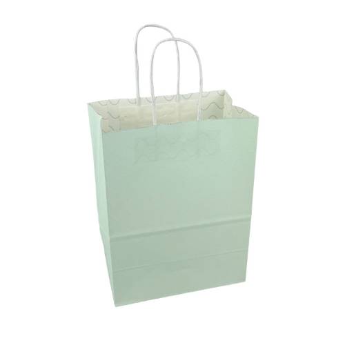 White paper shopping bag with seafoam green print and twisted paper handles