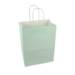 White paper shopping bag with seafoam green print and twisted paper handles