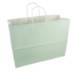 White paper shopping bag with seafoam green print and twisted paper handles
