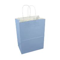 White paper shopping bag with sky blue print and twisted paper handles