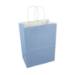 White paper shopping bag with sky blue print and twisted paper handles