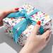 Splatter Gift Wrap Paper - B477