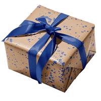 Sprenkel Gift Wrap Paper (New) 
