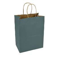 Solid spruce-teal kraft paper shopping bag with twisted paper handles — 8 x 4 3/4 x 10 1/2