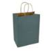 Solid spruce-teal kraft paper shopping bag with twisted paper handles — 8 x 4 3/4 x 10 1/2