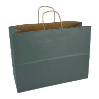 Solid spruce-teal kraft paper shopping bag with twisted paper handles — 16 x 6 x 12
