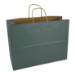Solid spruce-teal kraft paper shopping bag with twisted paper handles — 16 x 6 x 12