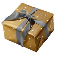 Sten Gold Gift Wrap Paper (New) 