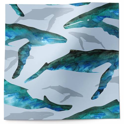 Whale Watch Printed Tissue Paper — Blue and gray whales swimming in watercolor style on white background