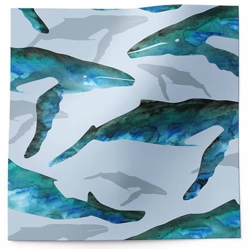 Whale Watch Tissue Paper