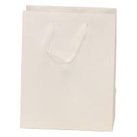 White kraft paper Brooklyn shopping bag with flat twill handles and side gussets