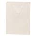 White kraft paper Brooklyn shopping bag with flat twill handles and side gussets