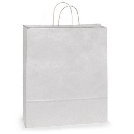 Plain white kraft paper shopping bag with twisted paper handles, solid white exterior