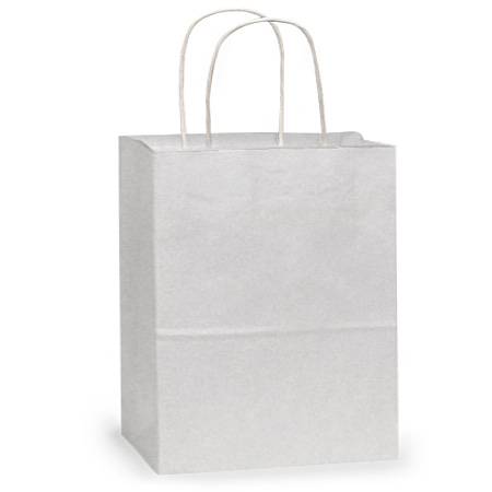 Plain white kraft paper shopping bag with twisted paper handles, solid white exterior