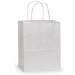 Plain white kraft paper shopping bag with twisted paper handles, solid white exterior