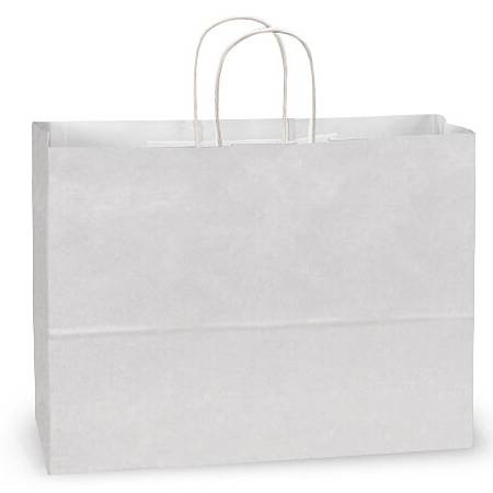 Plain white kraft paper shopping bag with twisted paper handles, solid white exterior