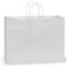 Plain white kraft paper shopping bag with twisted paper handles, solid white exterior