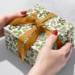 Winter Branches Gift Wrap Paper - XB831