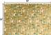 Winter Serenity Gold Printed Tissue Paper - BXPT850