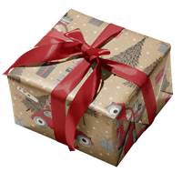 Xander Gift Wrap Paper 