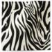 Zebra Printed Tissue Paper — Bold black and white zebra stripe pattern with irregular organic stripes