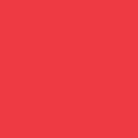 Bright Red (PMS 185C)