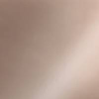 Champagne Matte Metallic