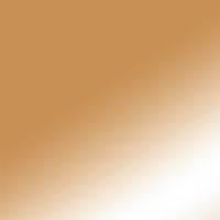 Copper (PMS 876C)